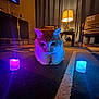 box, candle, carpet, cat, chair, collar, colorful_lighting, cozy, curtains, decor, furniture, glow, home, indoor, lamp, night, orange_cat, pet, table, wood_floor