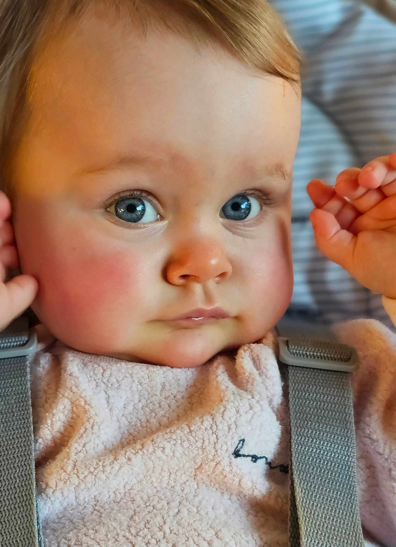 Indigo is registered to the contest to win money with this photo: baby, child, face, blue_eyes, rosy_cheeks, close_up, curious_expression, soft_texture, clothing, suspenders, person, portrait, indoor, infant, cute, young_child, skin, head, eyelashes, nose