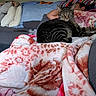 cat, tabby, pet, animal, blanket, bed, sleeping, person, indoors, home, couch, pillows, cozy, striped_fur, green_eyes, sitting, relaxed, portrait, bedding, household