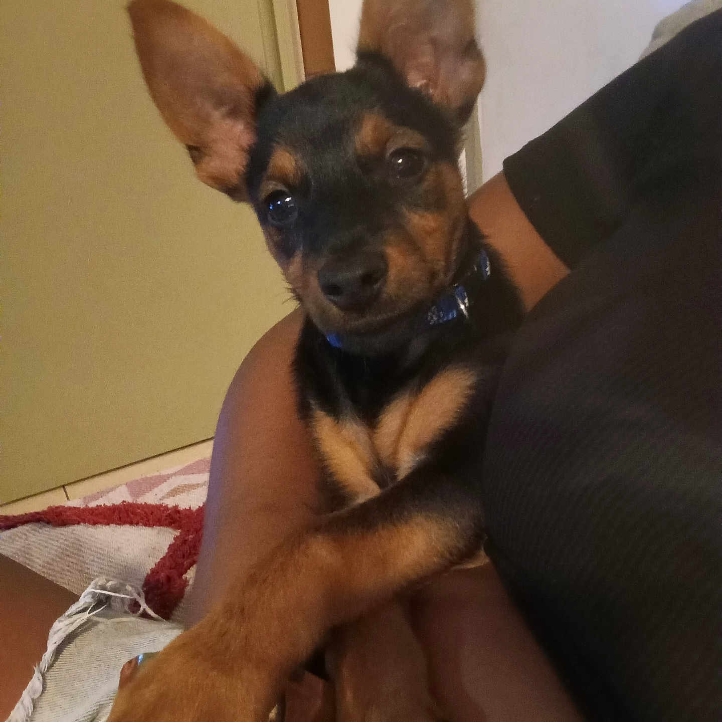Baïko