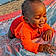Landon