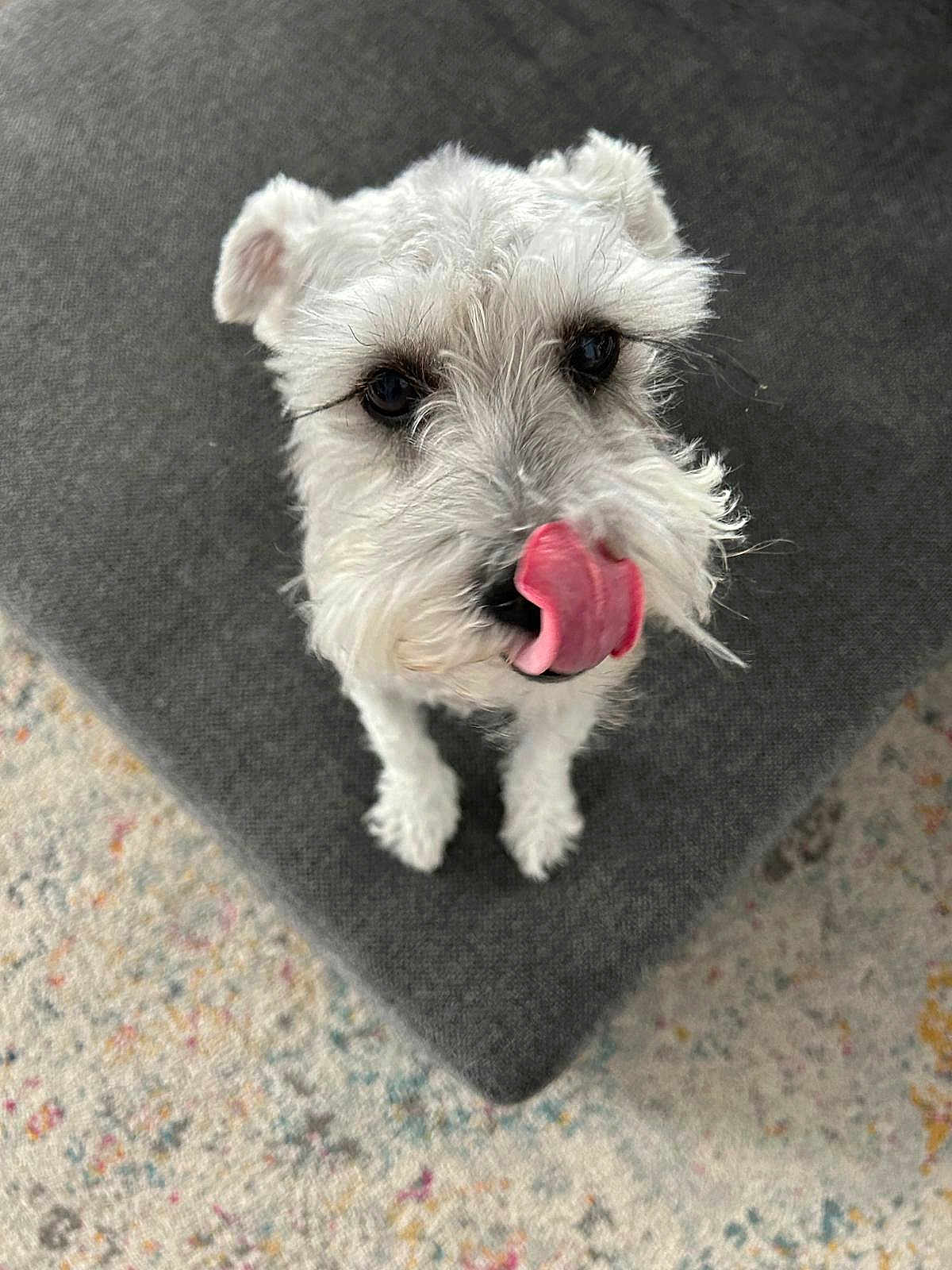 Maya