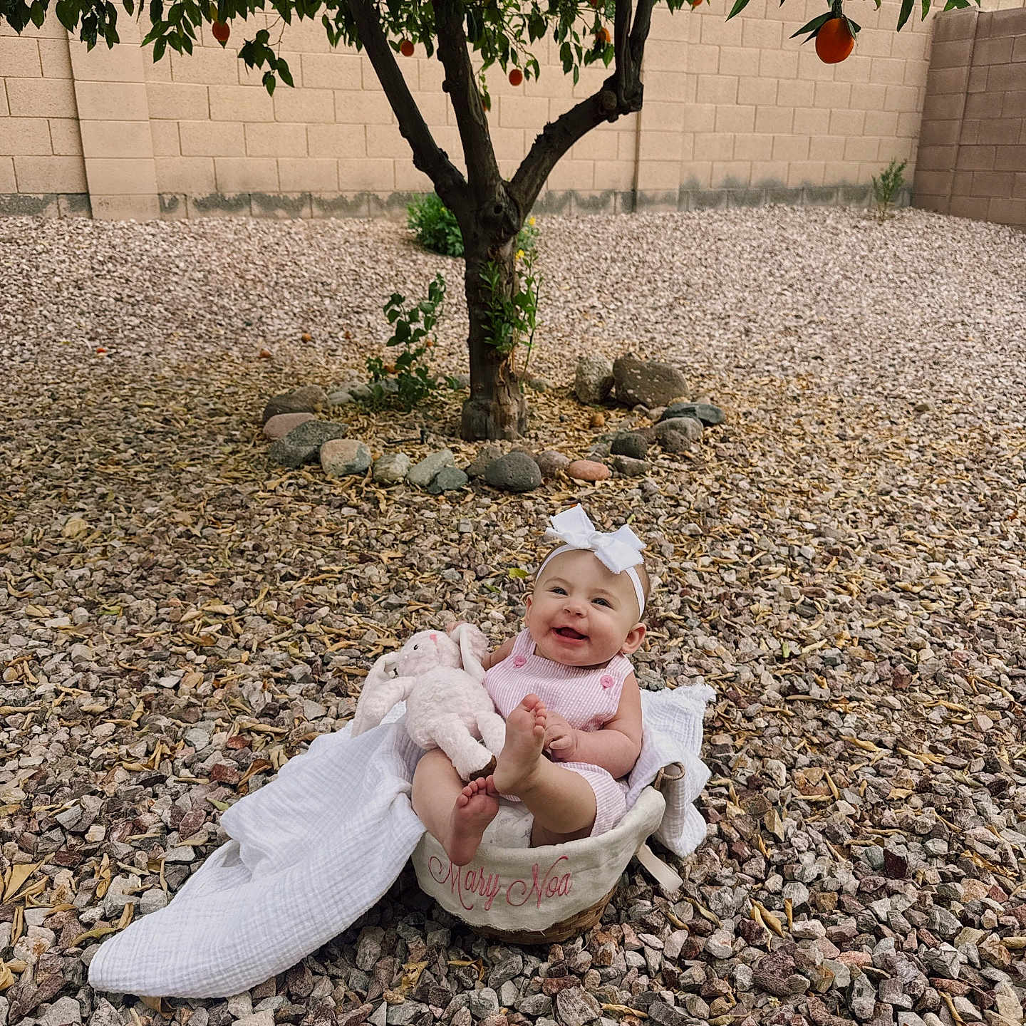 Mary is registered to the contest to win money with this photo: baby, face, food, fruit, gravel, head, leaf, nature, outdoors, pebble, person, photography, plant, portrait, pottedplant, produce, road, soil, tree, yard