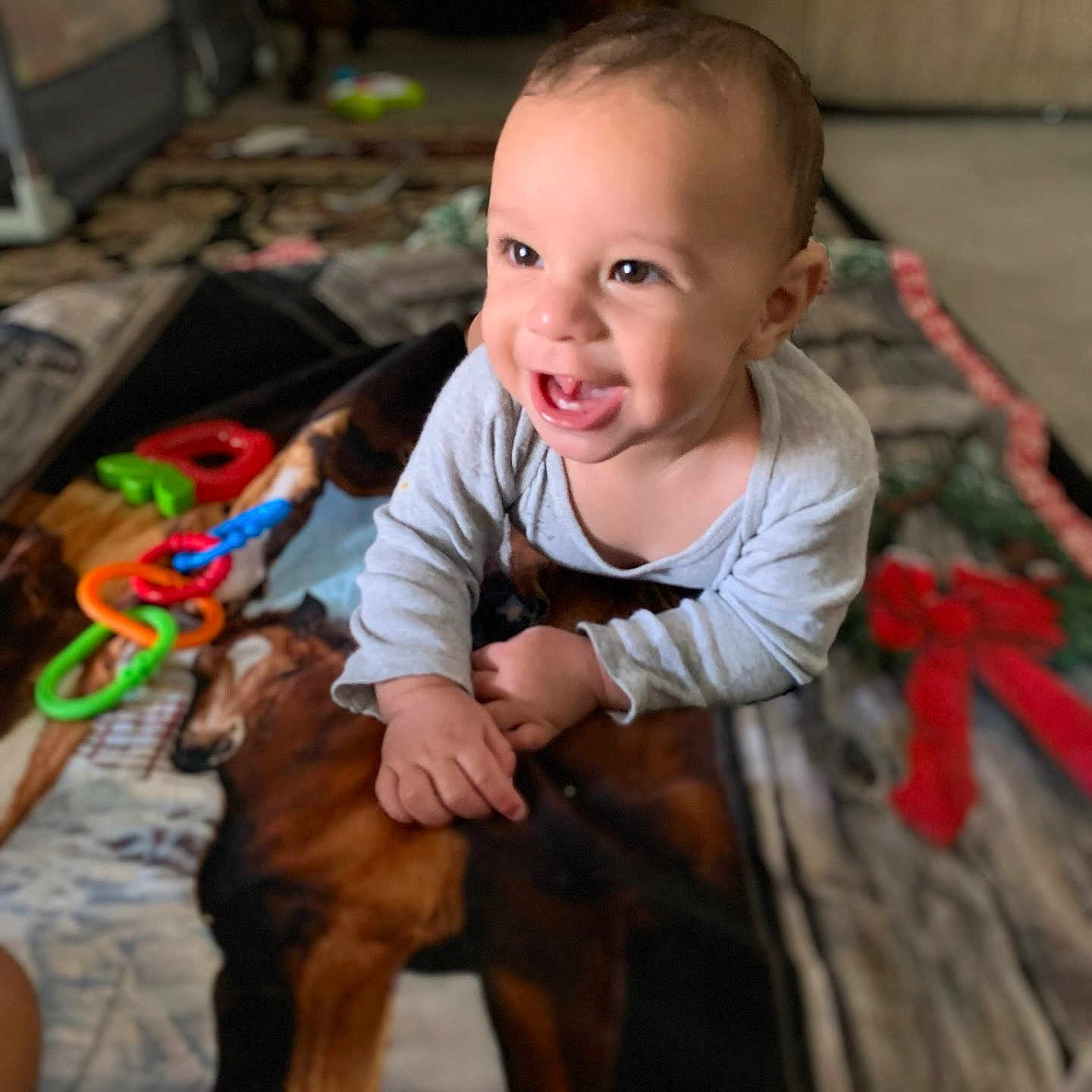 Gideon is registered to the contest to win money with this photo: baby, child, infant, smiling, laughing, portrait, dog, pet, animal, sitting, indoors, home, bed, blanket, toys, playtime, gray_shirt, brown_dog, happy, family