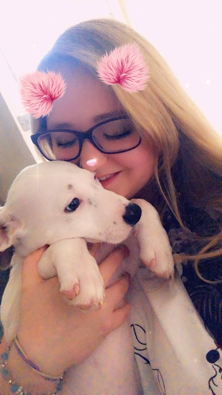 Bailey joined the competition — help win amazing prizes! canidae, carnivore, companion_dog, dog, dog_breed, fawn, glasses, non_sporting_group, nose, puppy_love, skin, snout