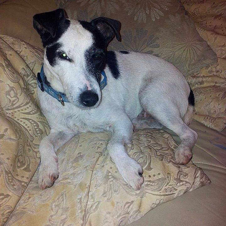 Freddy joined the competition — help win amazing prizes!