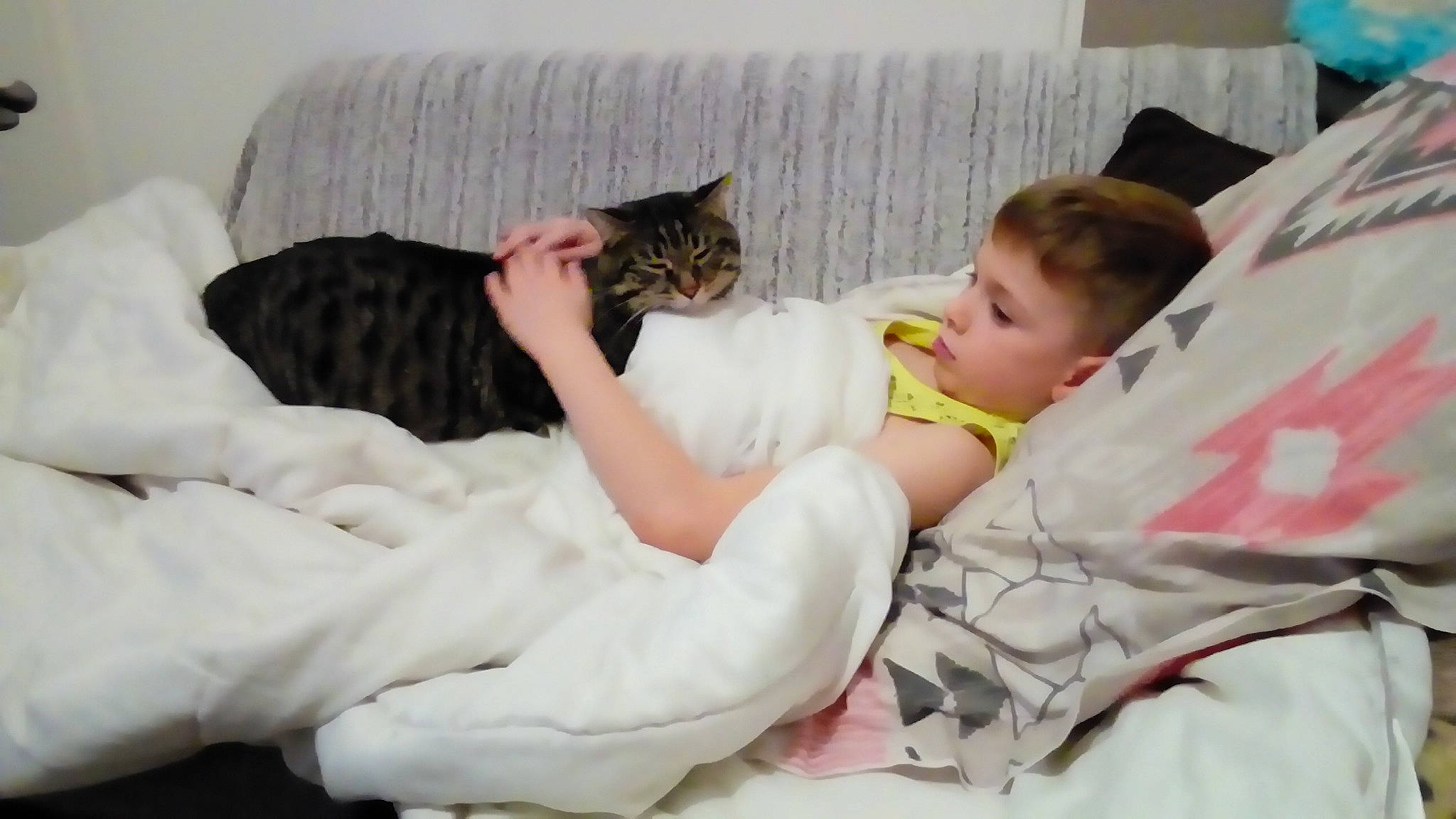 Mistigri a rejoint le concours — aidez-le/la à gagner de superbes lots ! arm, bed, bedtime, carnivoran, cat, cat_like_mammal, child, comfort, ear, furniture, girl, kitten, mammal, nap, person, product, room, sleep, small_to_medium_sized_cats, toddler