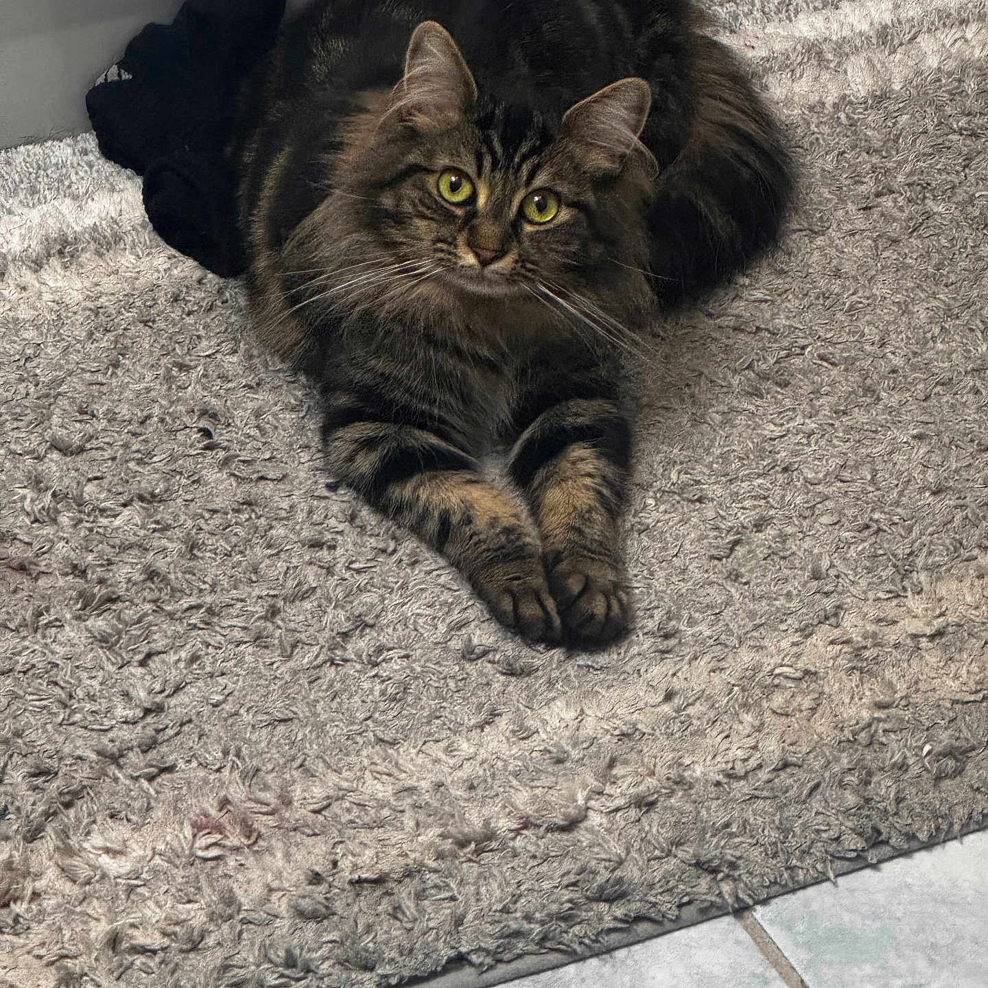 Nala