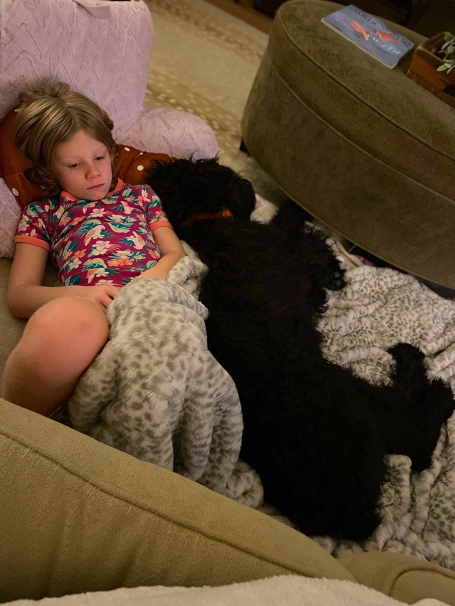 Henry joined the competition — help win amazing prizes! automotive_tire, baby, child, comfort, dog, floor, flooring, fun, fur, human_leg, knee, lap, linens, pattern, play, room, sitting, thigh, toddler, vertebrate