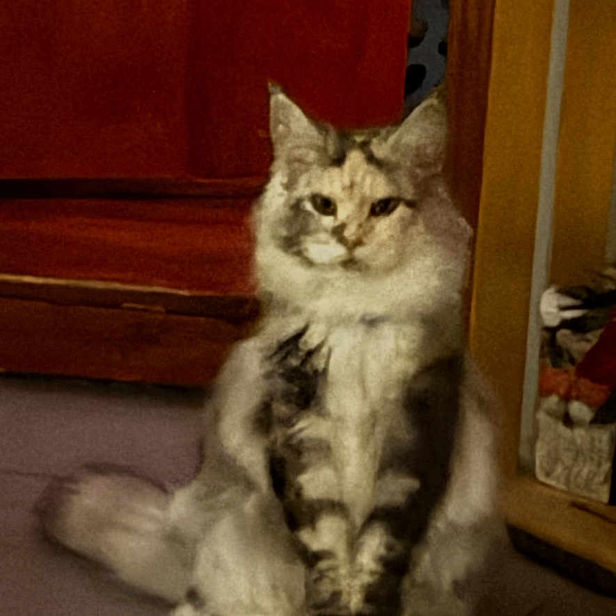 Nala