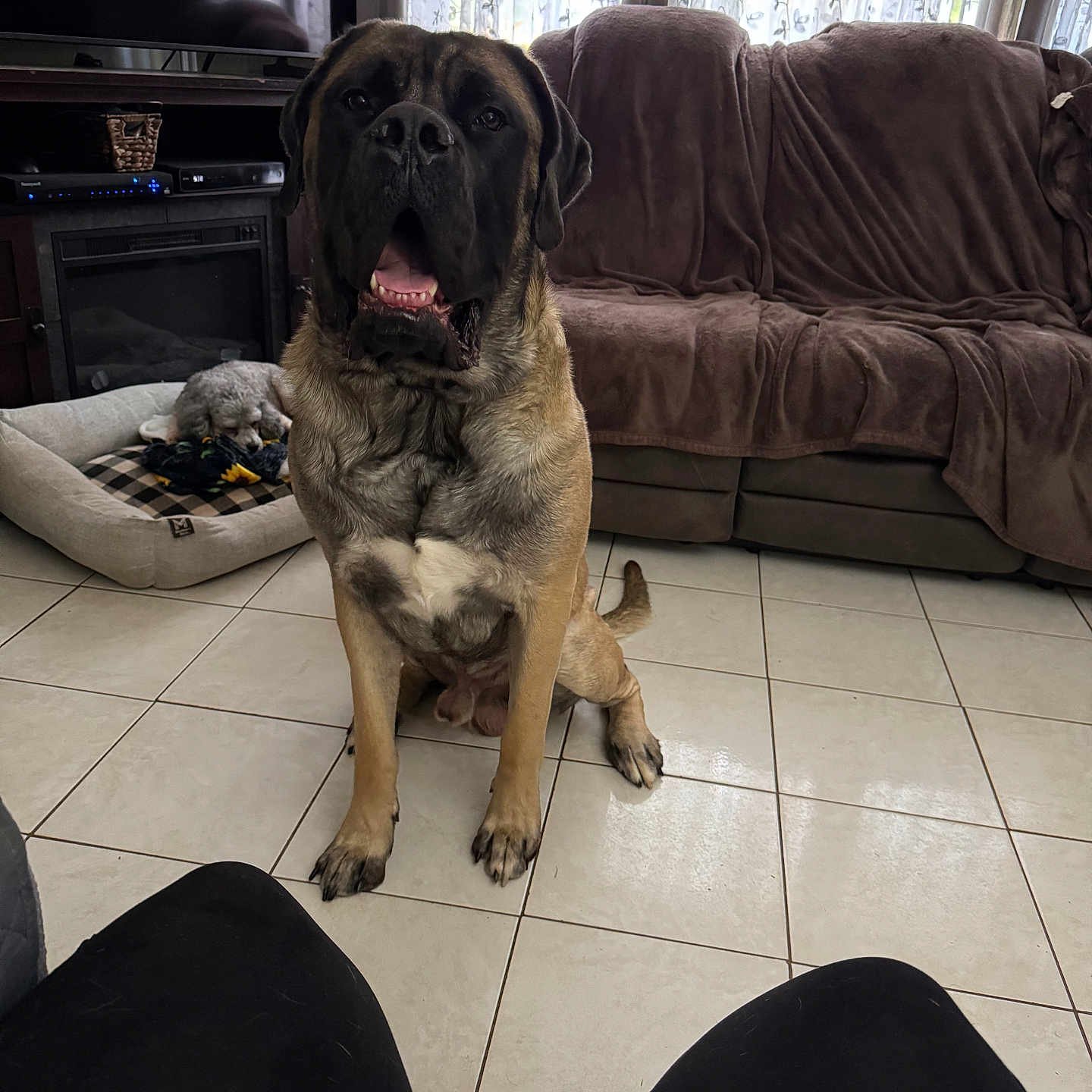 Titus