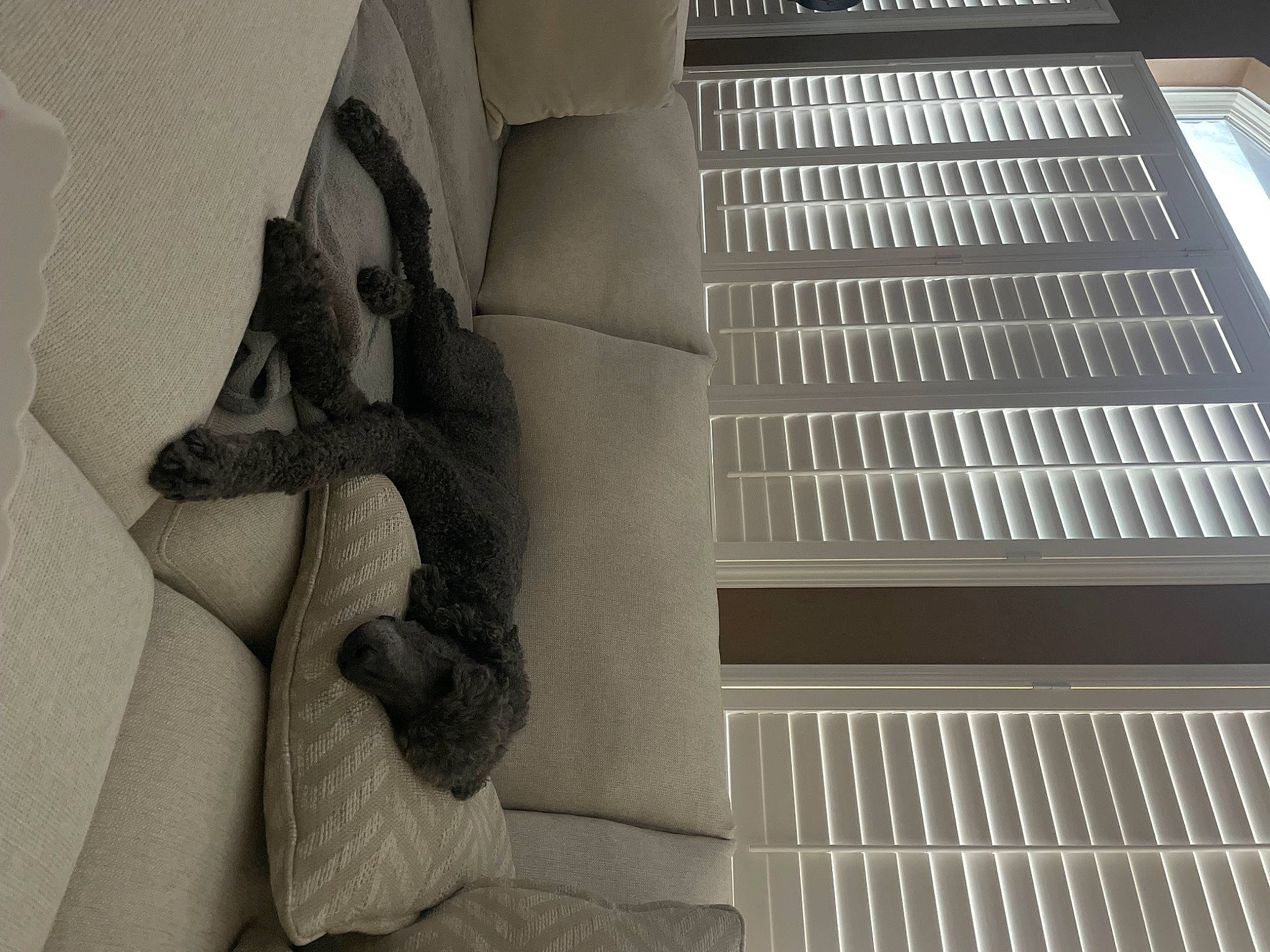 Colton is registered to the contest to win money with this photo: audio_equipment, automotive_design, comfort, elbow, floor, flooring, font, foot, gas, grille, human_leg, knee, leg, linens, metal, monochrome, monochrome_photography, sitting, sock, thigh