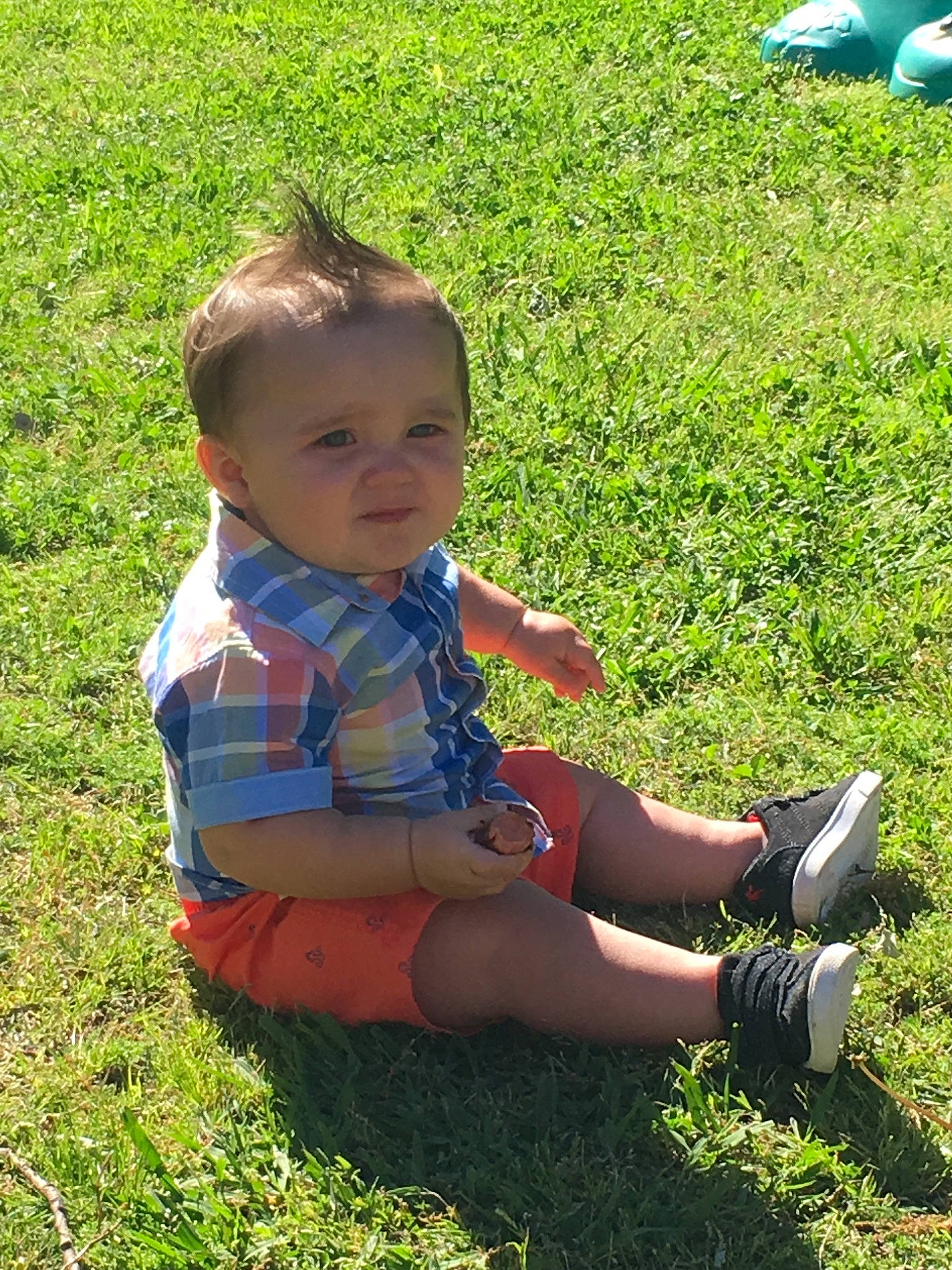 Avery is registered to the contest to win money with this photo: child, grass, grass_family, lawn, meadow, person, plant, play, sitting, toddler