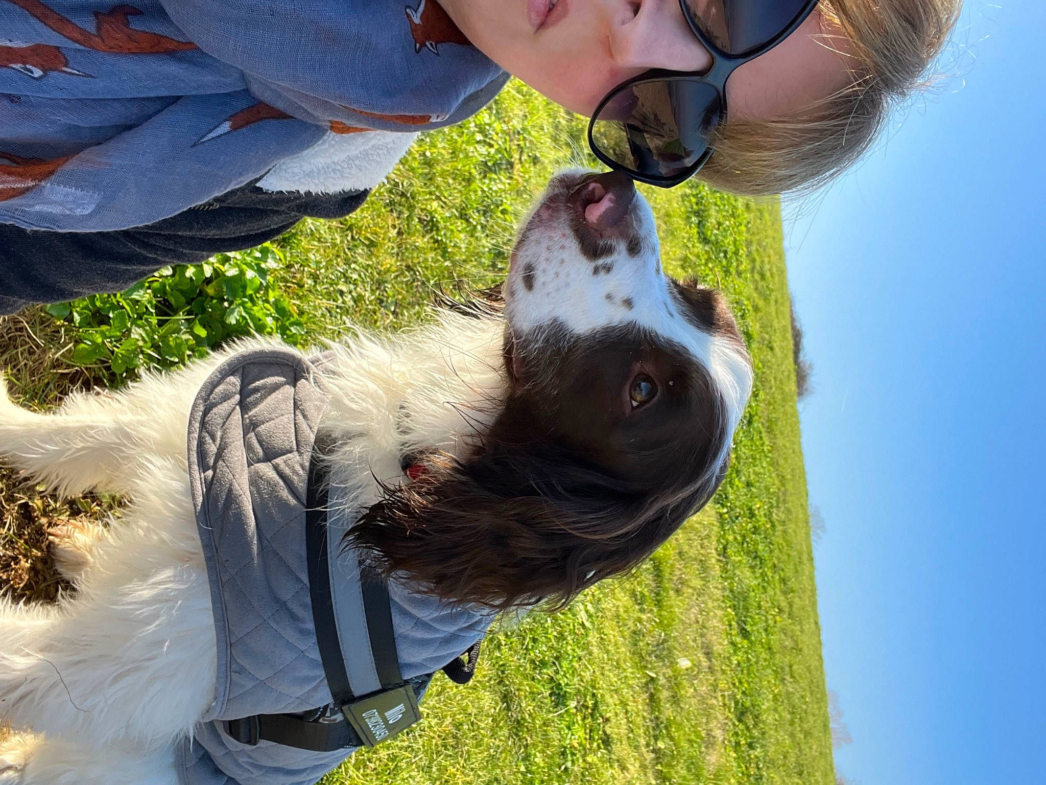Milo is registered to the contest to win money with this photo: companion_dog, dog_breed, eyewear, fun, gesture, grass, happy, leisure, light, people_in_nature, plant, recreation, selfie, sky, sporting_group, summer, sunglasses, sunlight, tree, vision_care