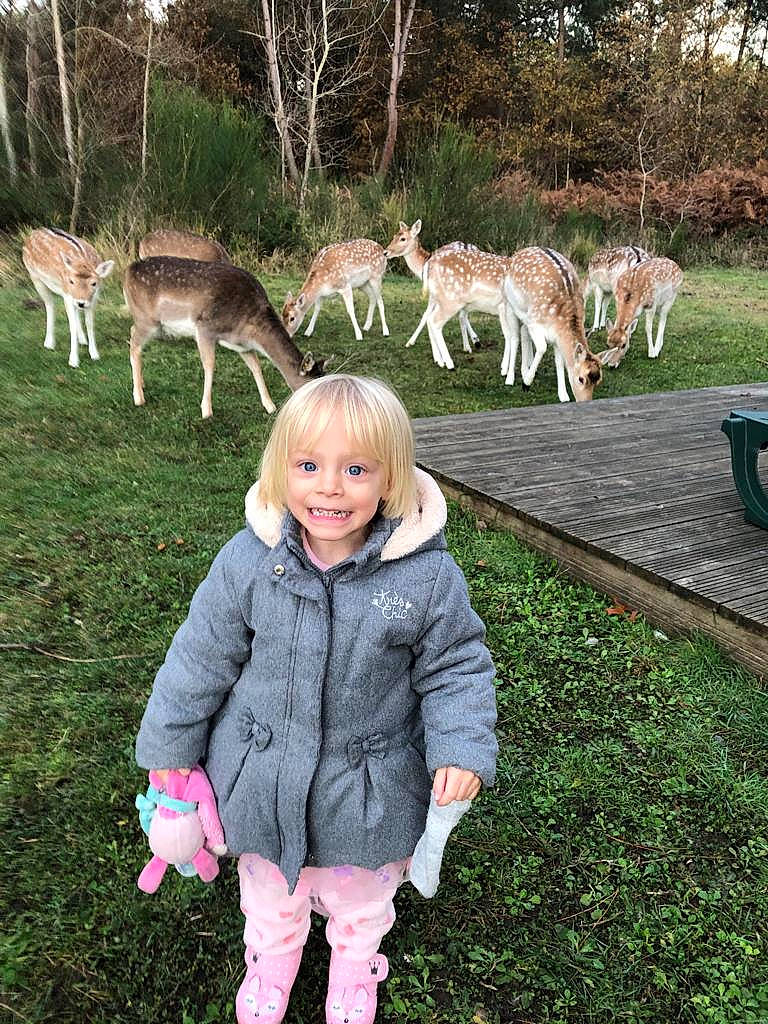 Faustine participe au concours pour gagner de l'argent avec cette photo : fawn, grass, grass_family, grassland, green, happy, jacket, joy, landscape, leisure, mammal, natural_environment, natural_landscape, people_in_nature, person, plant, recreation, smile, terrestrial_animal, toddler