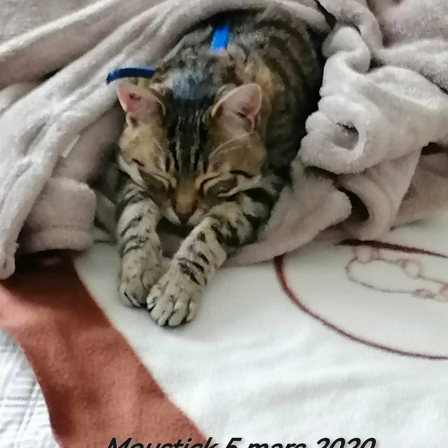 Moustick