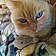 Minette