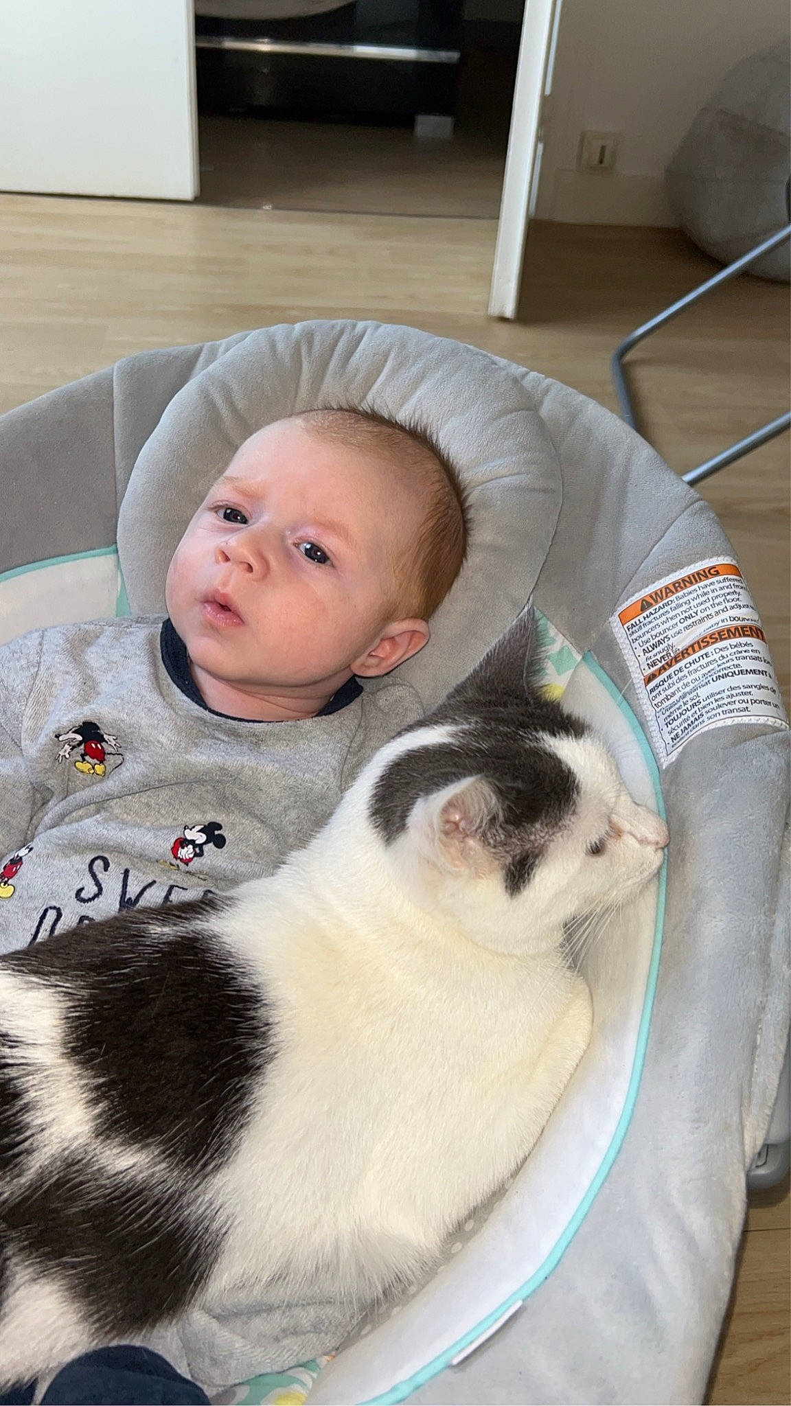 Hursula a rejoint le concours — aidez-le/la à gagner de superbes lots ! baby, baby_toddler_clothing, carnivore, cat, child, comfort, companion_dog, domestic_short_haired_cat, felidae, flooring, fur, linens, mammal, room, sitting, small_to_medium_sized_cats, tail, toddler, vertebrate, whiskers