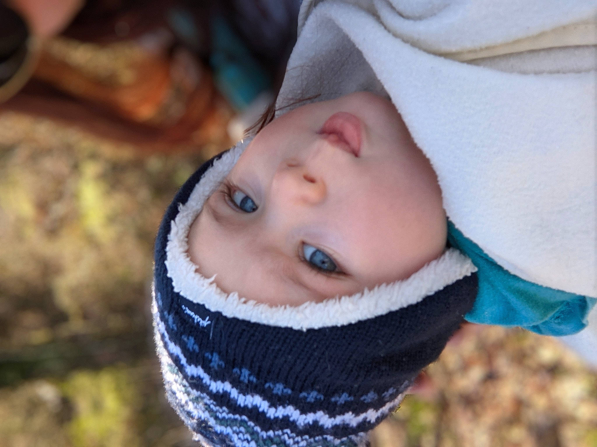 Loup a rejoint le concours — aidez-le/la à gagner de superbes lots ! cap, close_up, electric_blue, eye, eyelash, face, flash_photography, freezing, grass, happy, head, headwear, human_body, iris, knit_cap, lip, nose, person, street_fashion, textile