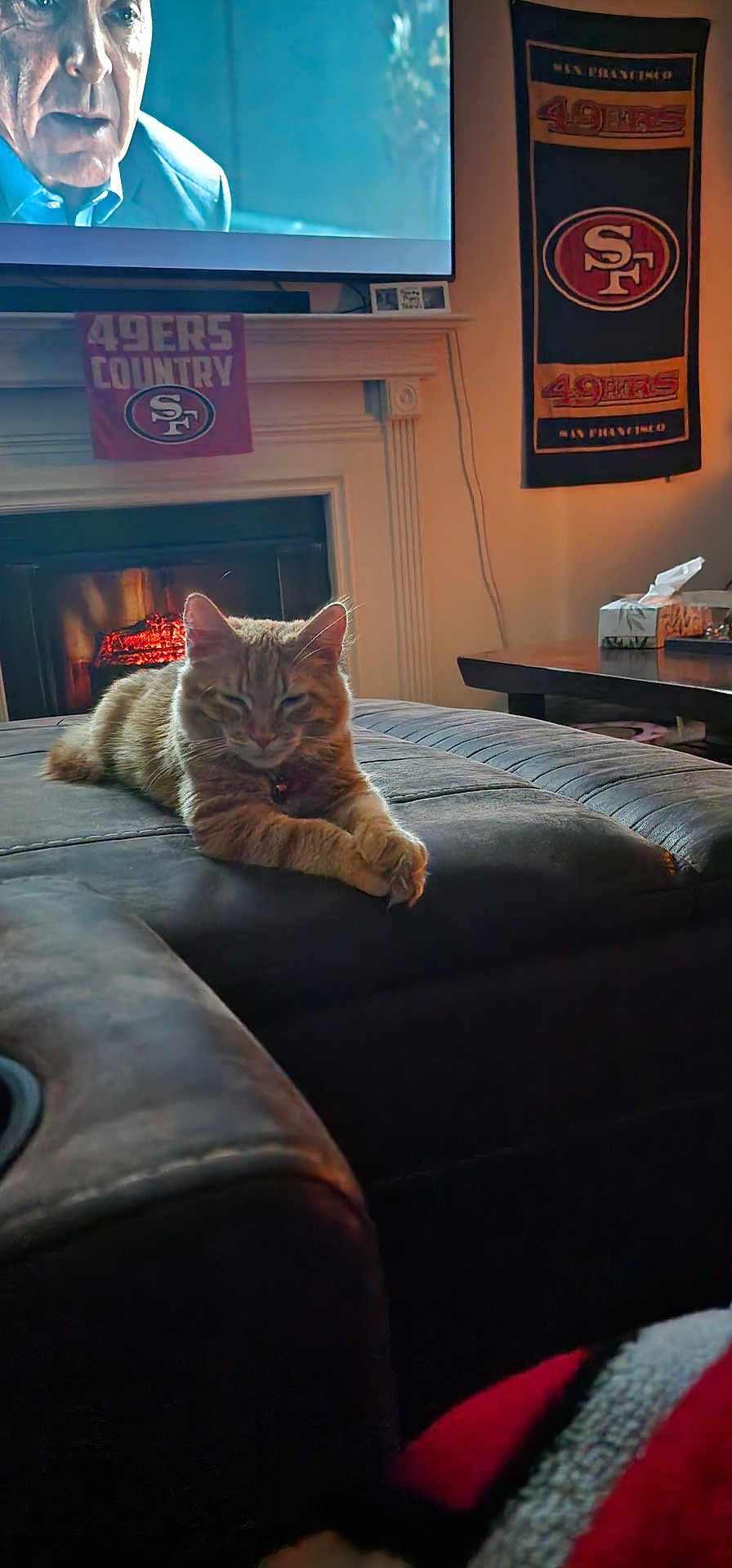 Dude is registered to the contest to win money with this photo: cat, orange_tabby, fireplace, television, man_on_tv, living_room, leather_ottoman, sports_banner, san_francisco_49ers, relaxed, cozy, indoor, furniture, blanket, table, tissue_box, warm_lighting, home_decor, pet, resting