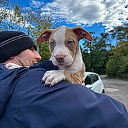 Marley joined the competition — help win amazing prizes! man, puppy, dog, blue_eyes, beanie, jacket, outdoor, sky, clouds, trees, car, nature, portrait, holding, cute, animal, pet, love, human, fall
