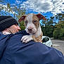 man, puppy, dog, blue_eyes, beanie, jacket, outdoor, sky, clouds, trees, car, nature, portrait, holding, cute, animal, pet, love, human, fall