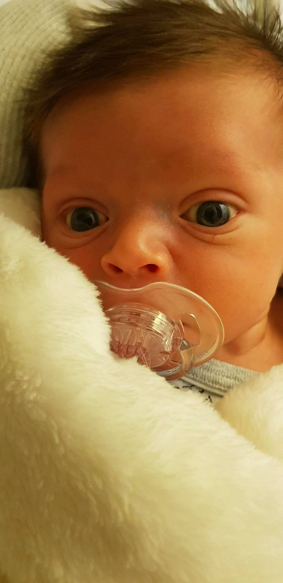 Taïs a rejoint le concours — aidez-le/la à gagner de superbes lots ! baby, cheek, child, chin, close_up, eye, eyebrow, face, fur, head, lip, mouth, nose, person, skin, toddler