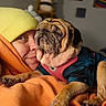 person, pug, dog, pet, cuddling, portrait, indoor, blanket, hat, winter_clothing, orange, pink, blue, wrinkles, short_hair, face, snuggling, cozy, home, photography