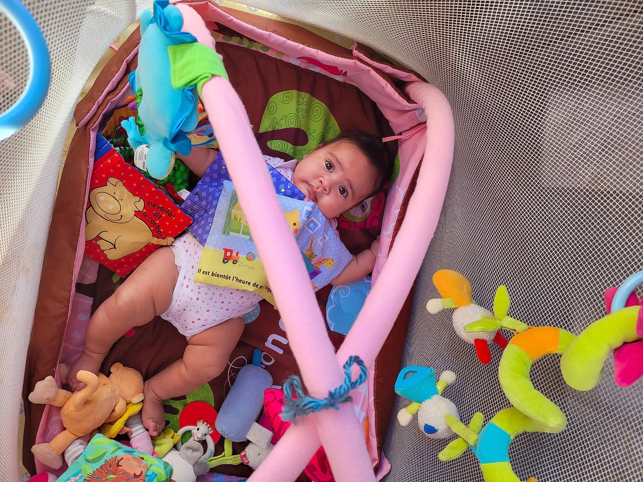 Léyna participe au concours pour gagner de l'argent avec cette photo : baby, baby_products, baby_toddler_clothing, baby_toys, child, comfort, fun, happy, infant_bed, leisure, linens, magenta, mechanical_fan, person, pink, purple, stuffed_toy, textile, thigh, toddler