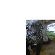 Tia a rejoint le concours — aidez-le/la à gagner de superbes lots !