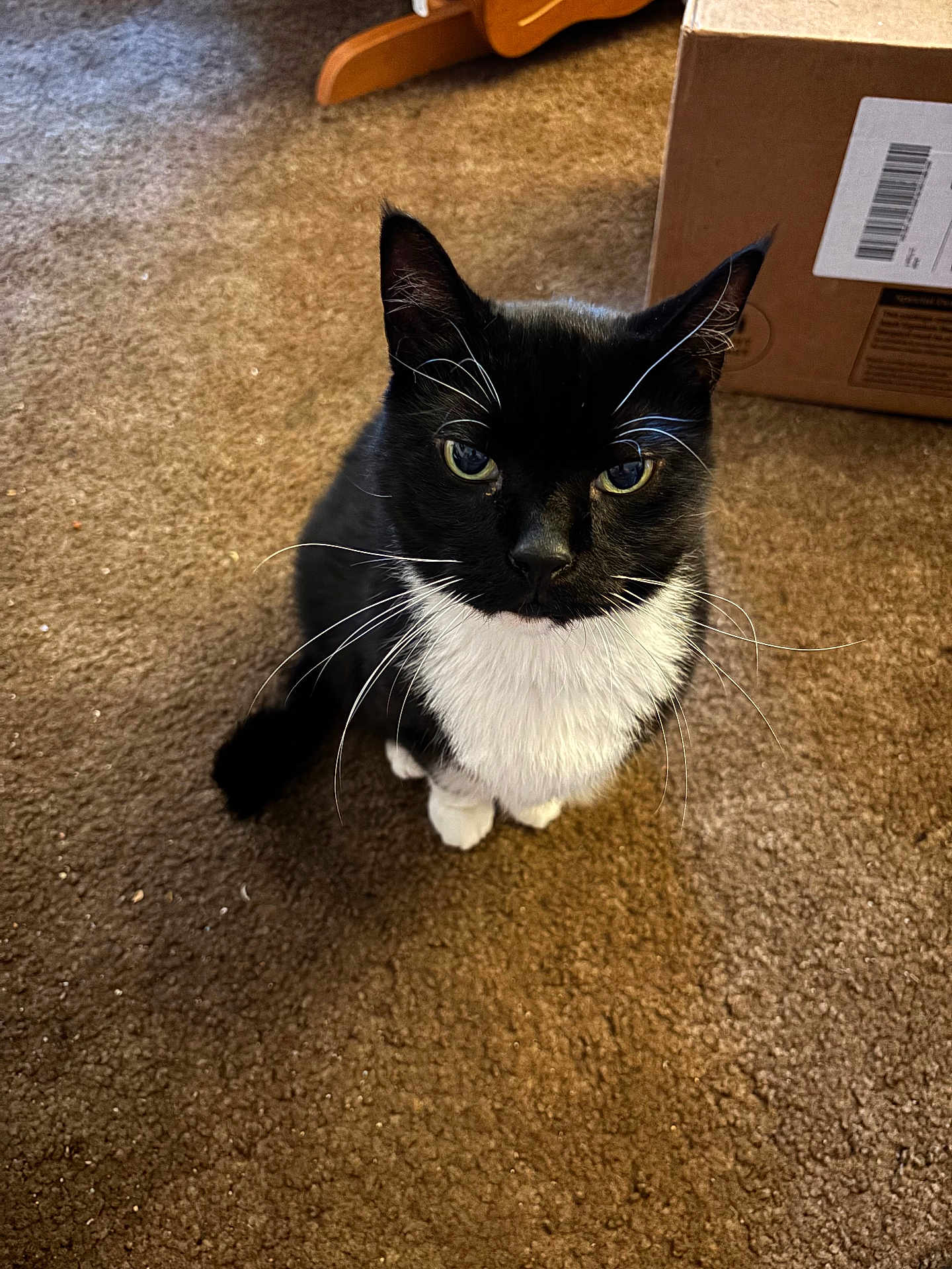 Benito