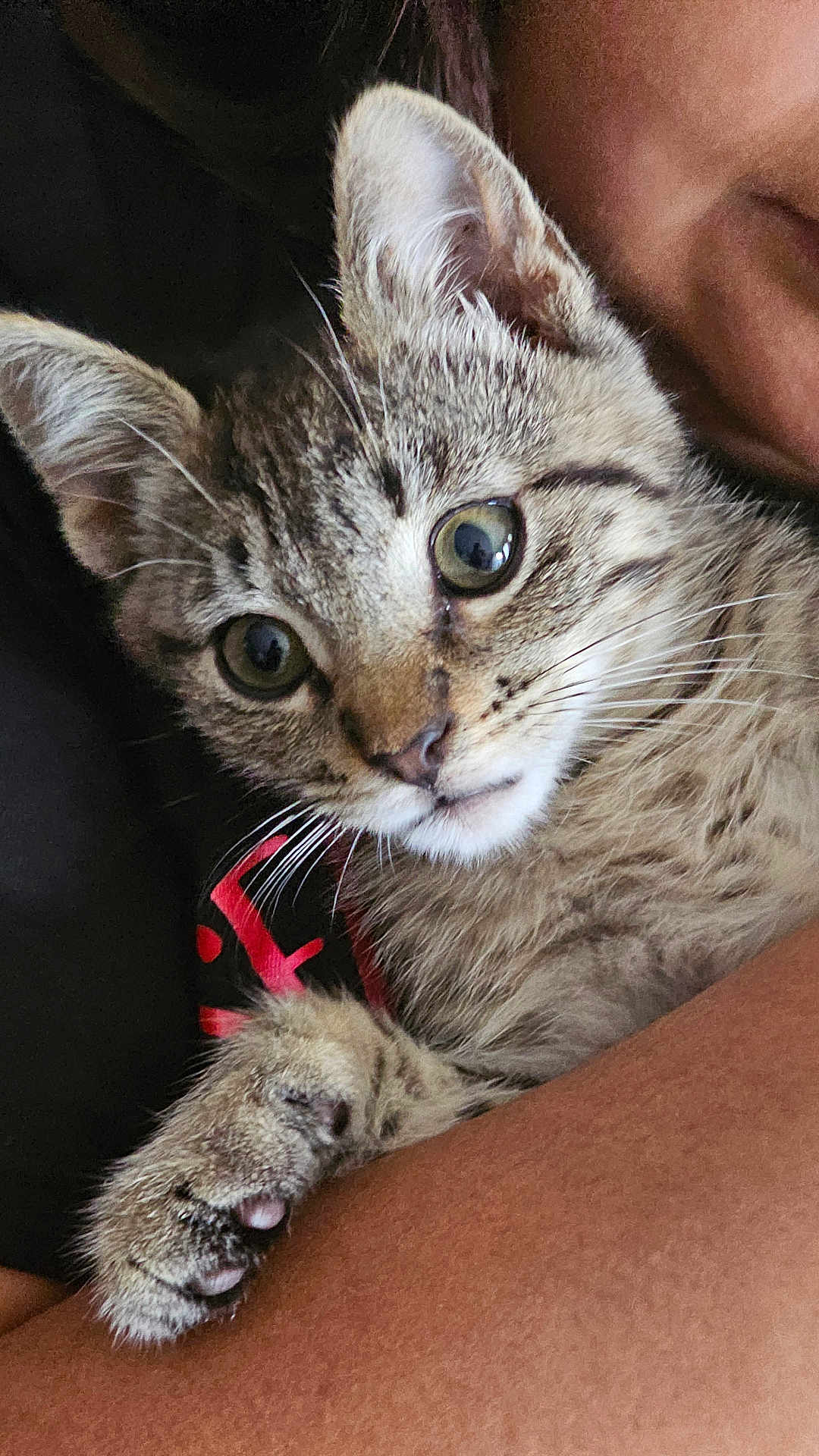 Cosita