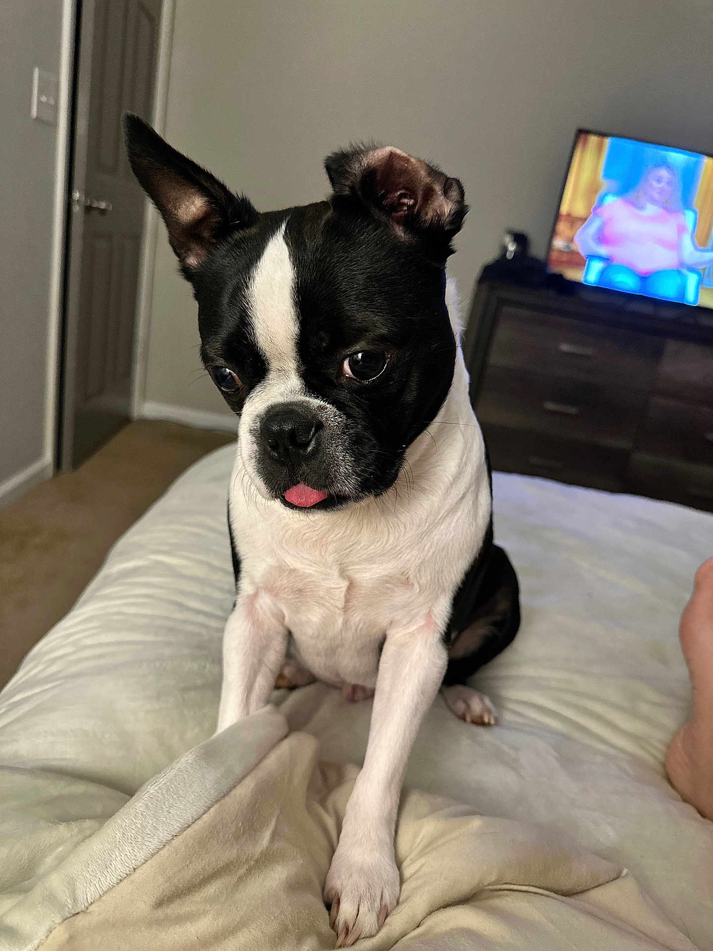 Mr. Peanut