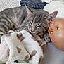 kitten, cat, sleeping, blanket, doll, toy, bed, soft, gray, striped, cozy, indoor, resting, fur, pet, cute, animal, closeup, nap, home