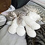 cat, kitten, gray_tabby, stuffed_toy, white_plush, bed, pillow, cuddling, sleepy, domestic_cat, fur, whiskers, nap, pet, indoor, relaxation, cute, animal, soft, comfort
