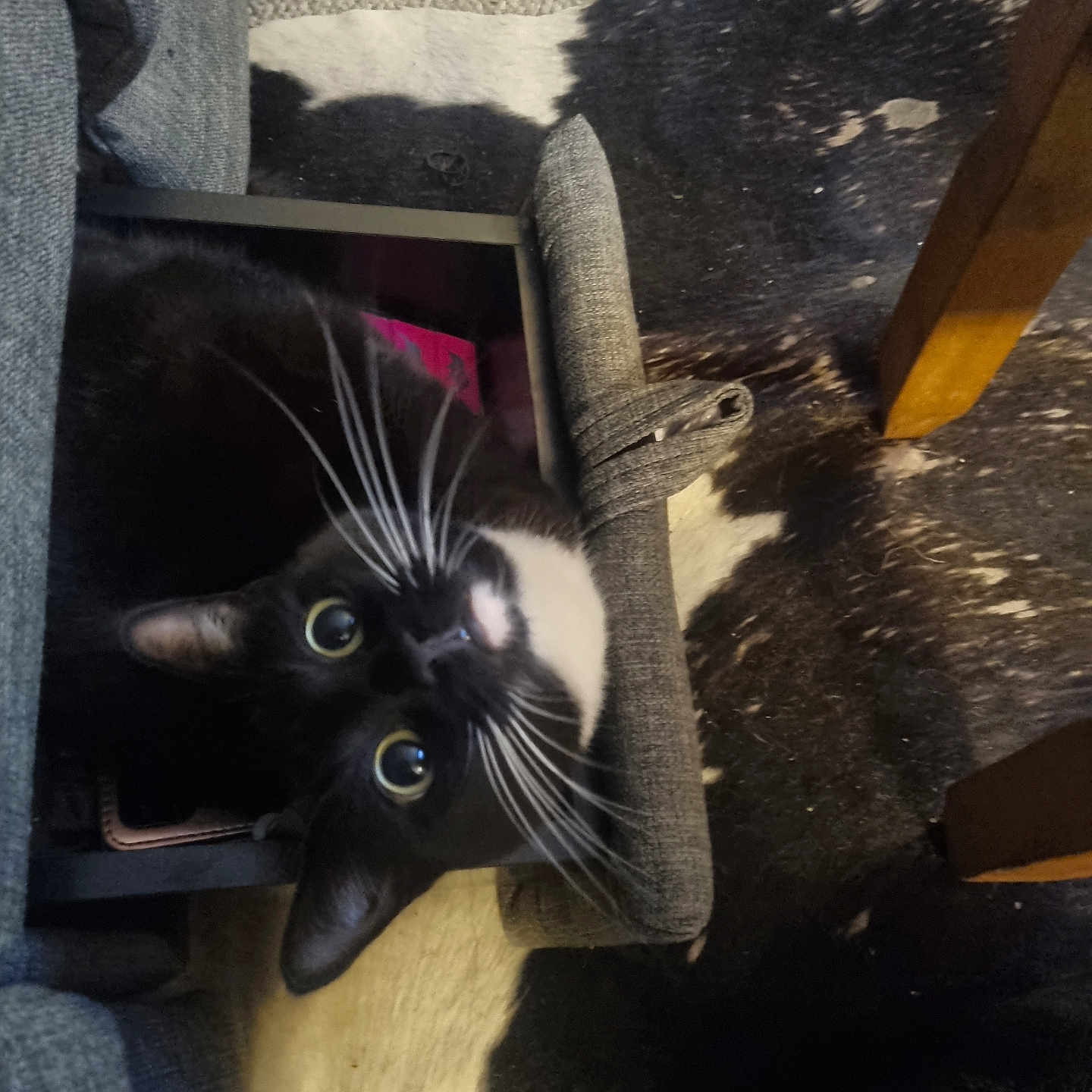 Luna
