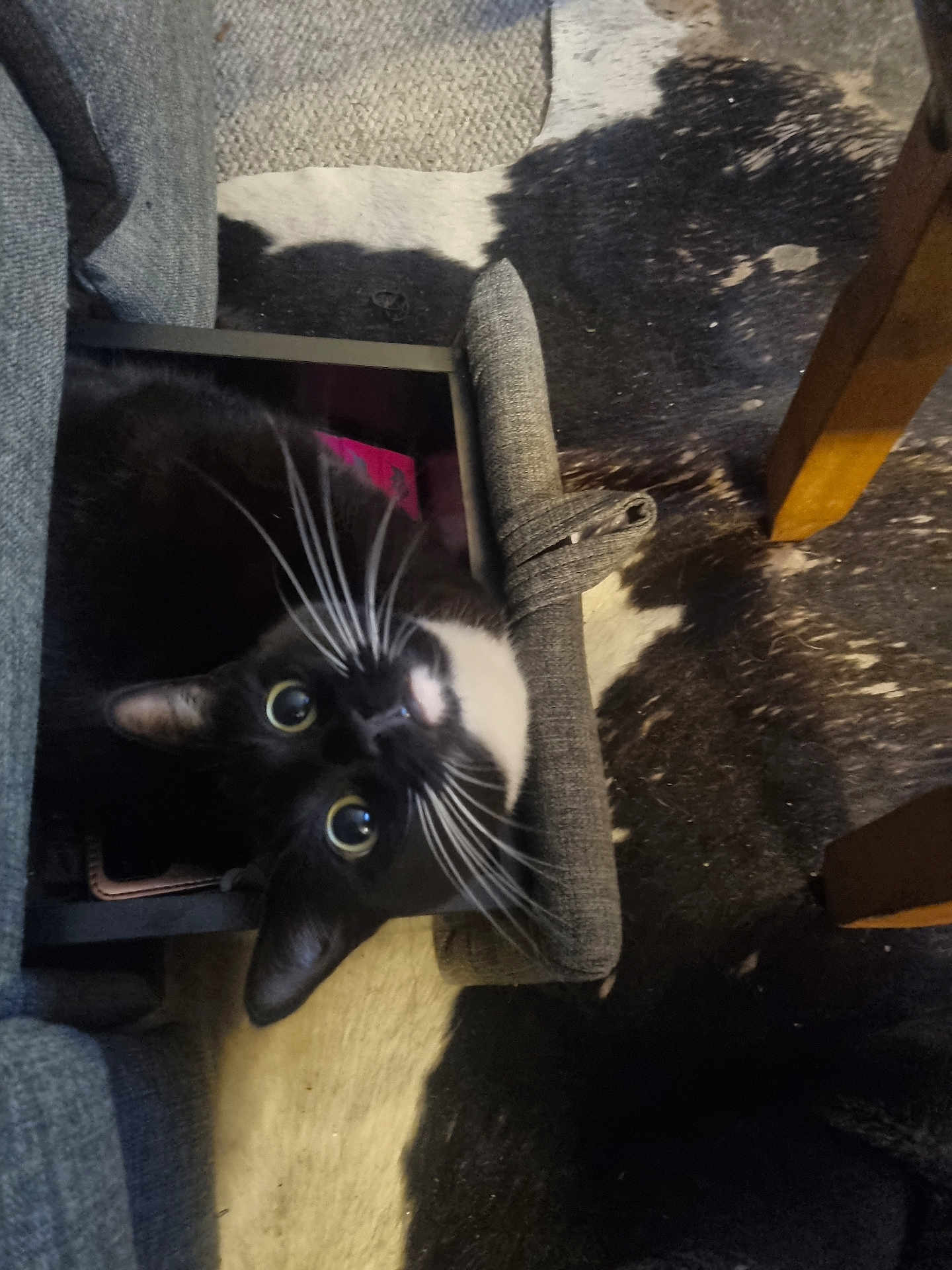 Luna