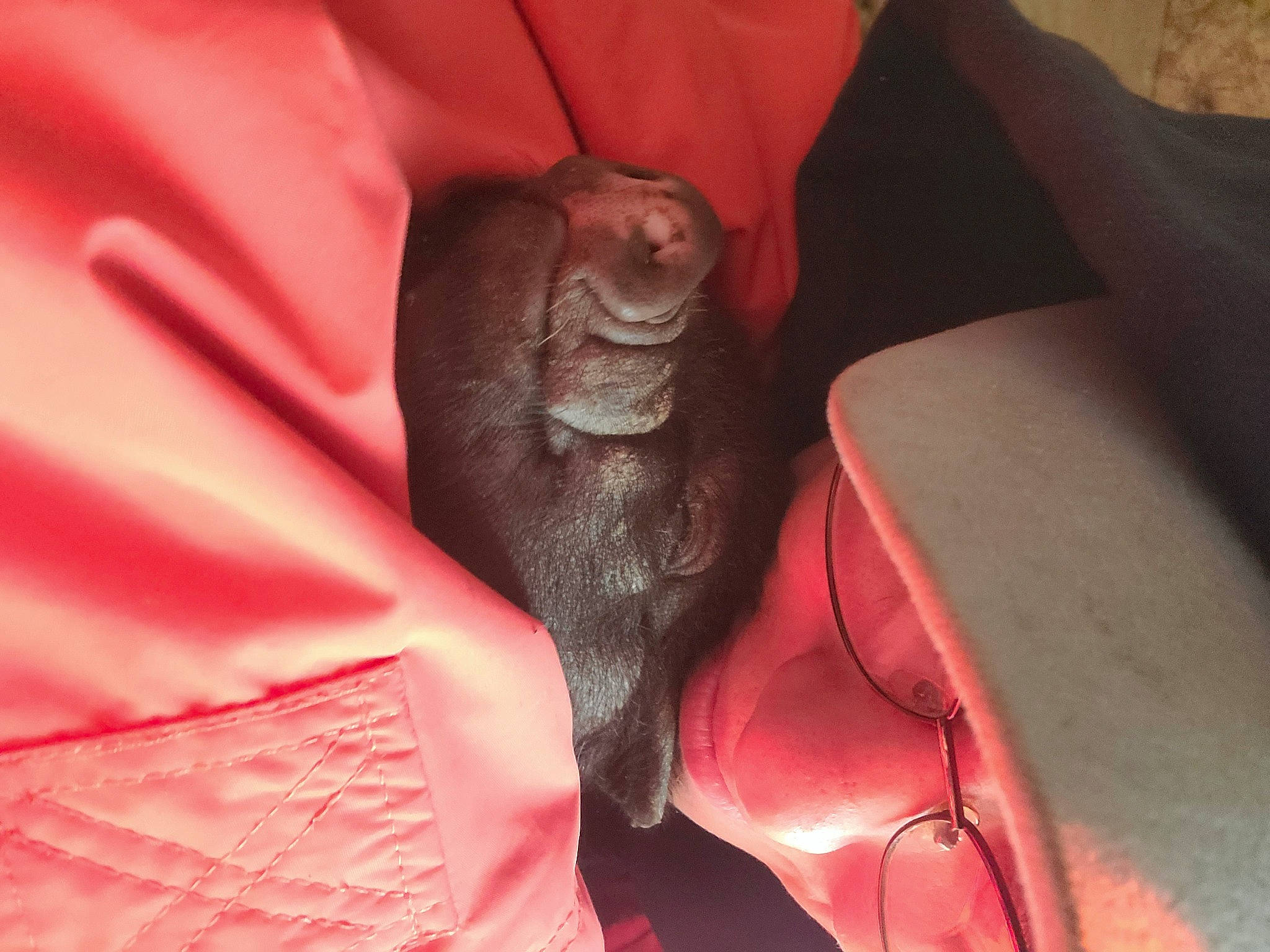 Gary Mcpigglz joined the competition — help win amazing prizes! art, artifact, carmine, comfort, fish, flesh, human_leg, magenta, metal, nail, peach, petal, sculpture, statue, visual_arts, wrinkle