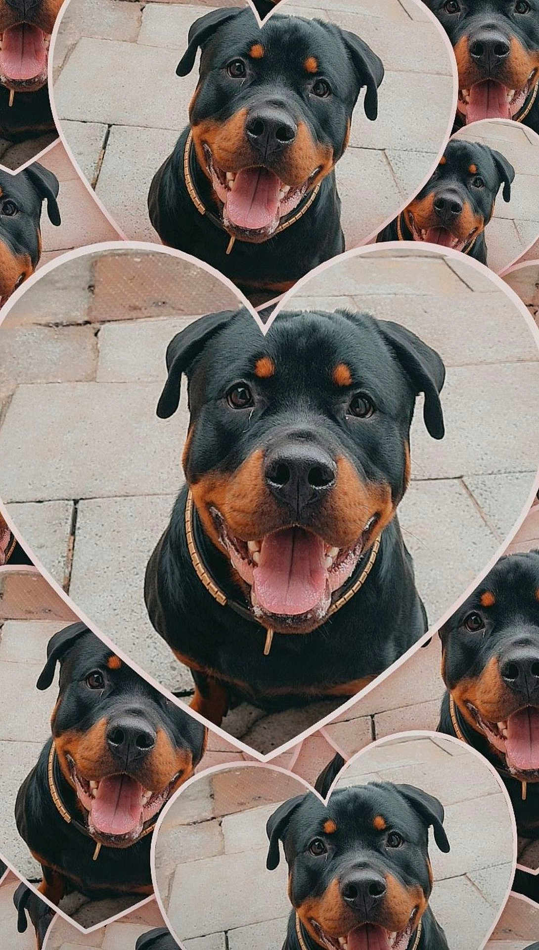 Tyson