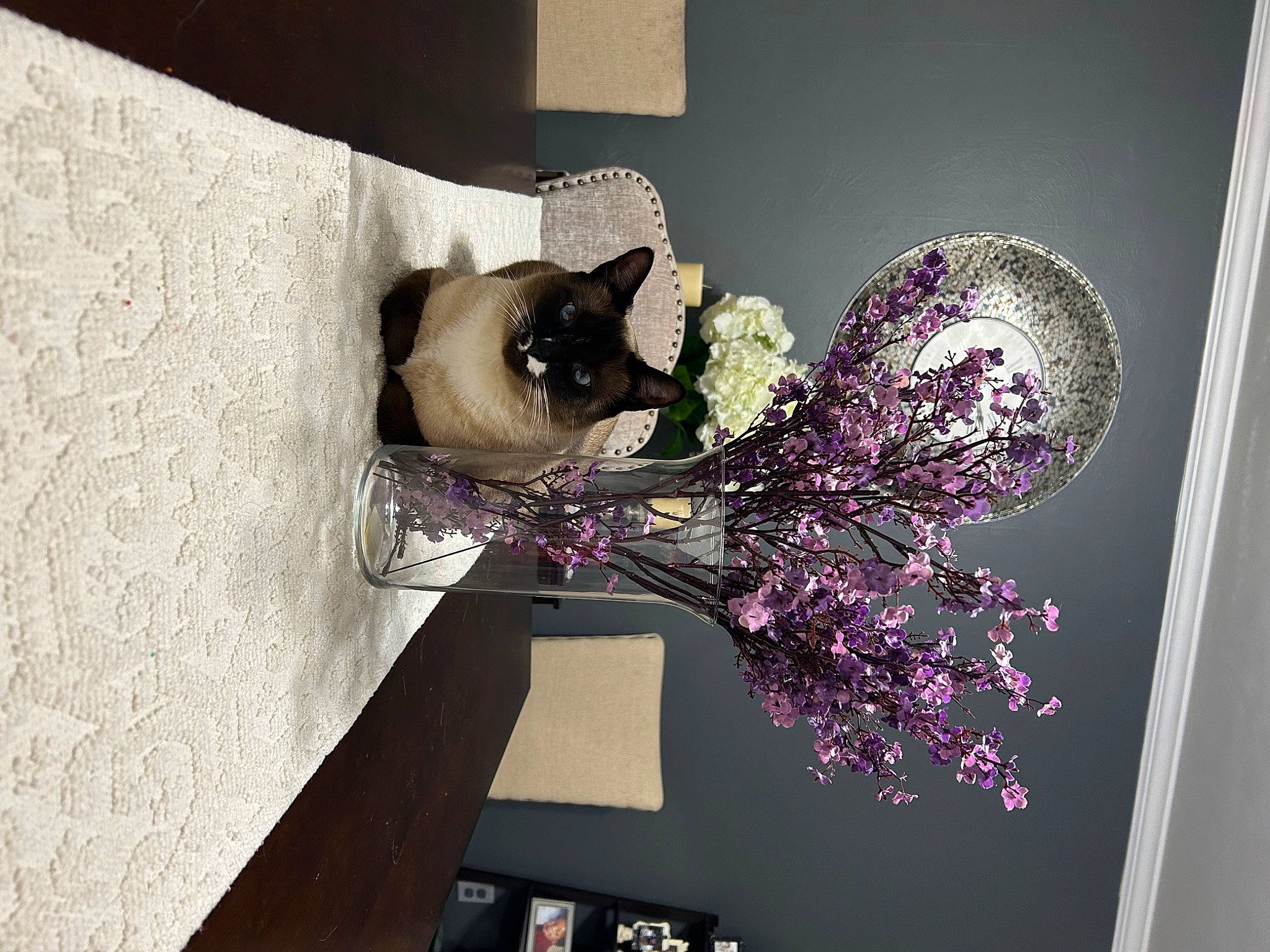 Kobe joined the competition — help win amazing prizes! art, artificial_flower, cut_flowers, dress, fashion_accessory, flower, flower_arranging, interior_design, magenta, petal, plant, purple, rectangle, room, still_life_photography, table, tree, twig, violet, visual_arts