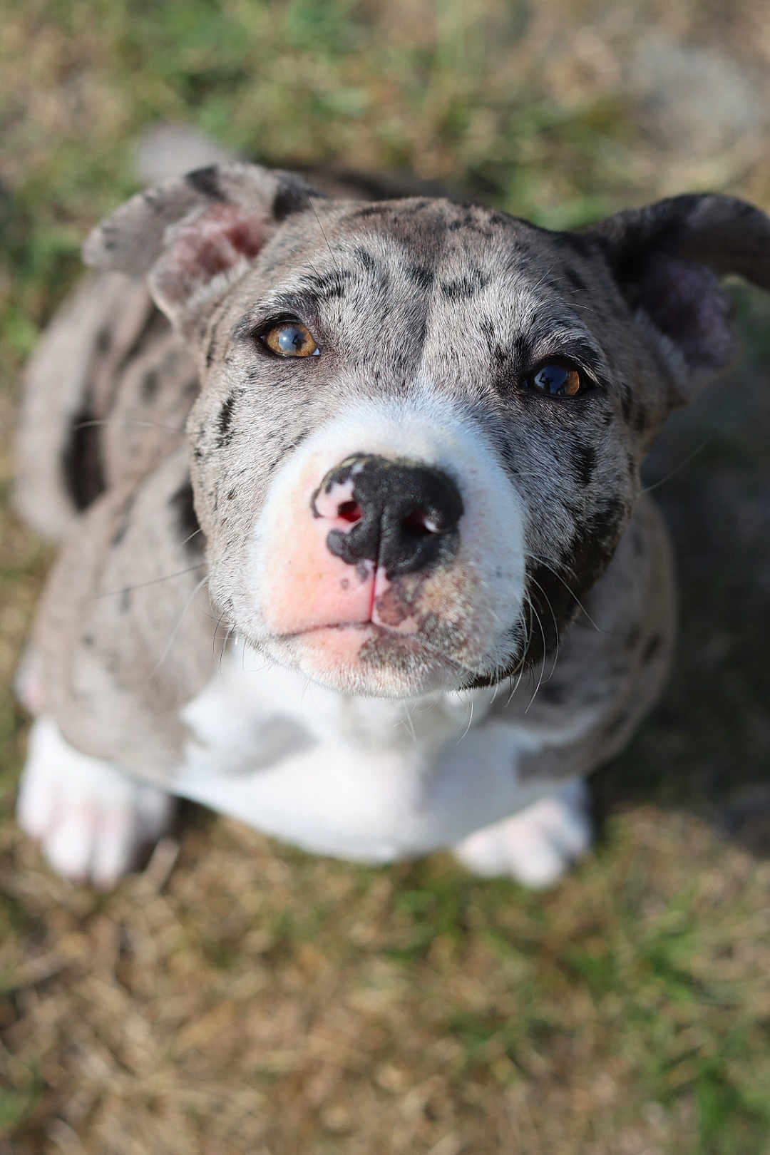 Molly