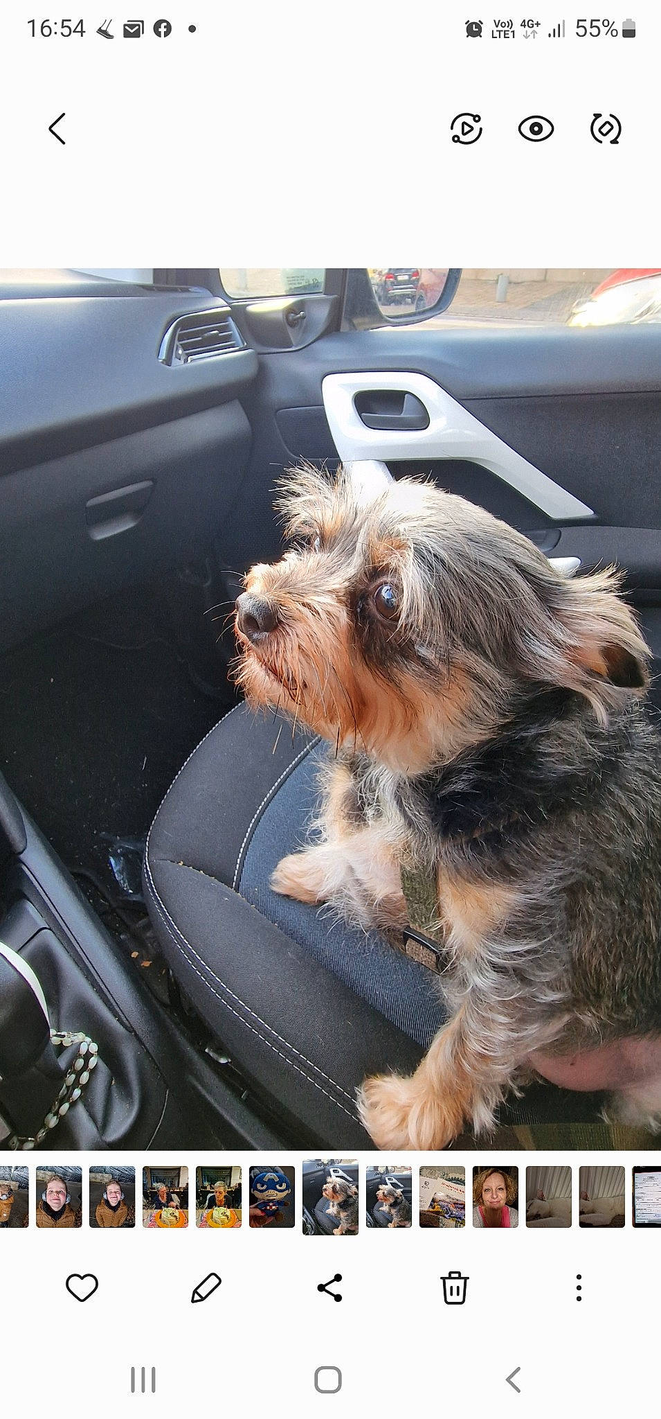 Gaston participe au concours pour gagner de l'argent avec cette photo : auto_part, automotive_design, automotive_exterior, automotive_lighting, automotive_window_part, car, carnivore, companion_dog, dog, dog_breed, family_car, hood, luxury_vehicle, motor_vehicle, personal_luxury_car, radio, steering_wheel, vehicle, vehicle_door, windshield