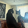 Jasper is registered to the contest to win money with this photo: animal, black_and_white, blinds, cat, curious, decor, desk, feline, glass, home, humidifier, indoor, mirror, pens, reflection, stationery, tapestry, tuxedo_cat, window, wooden_surface
