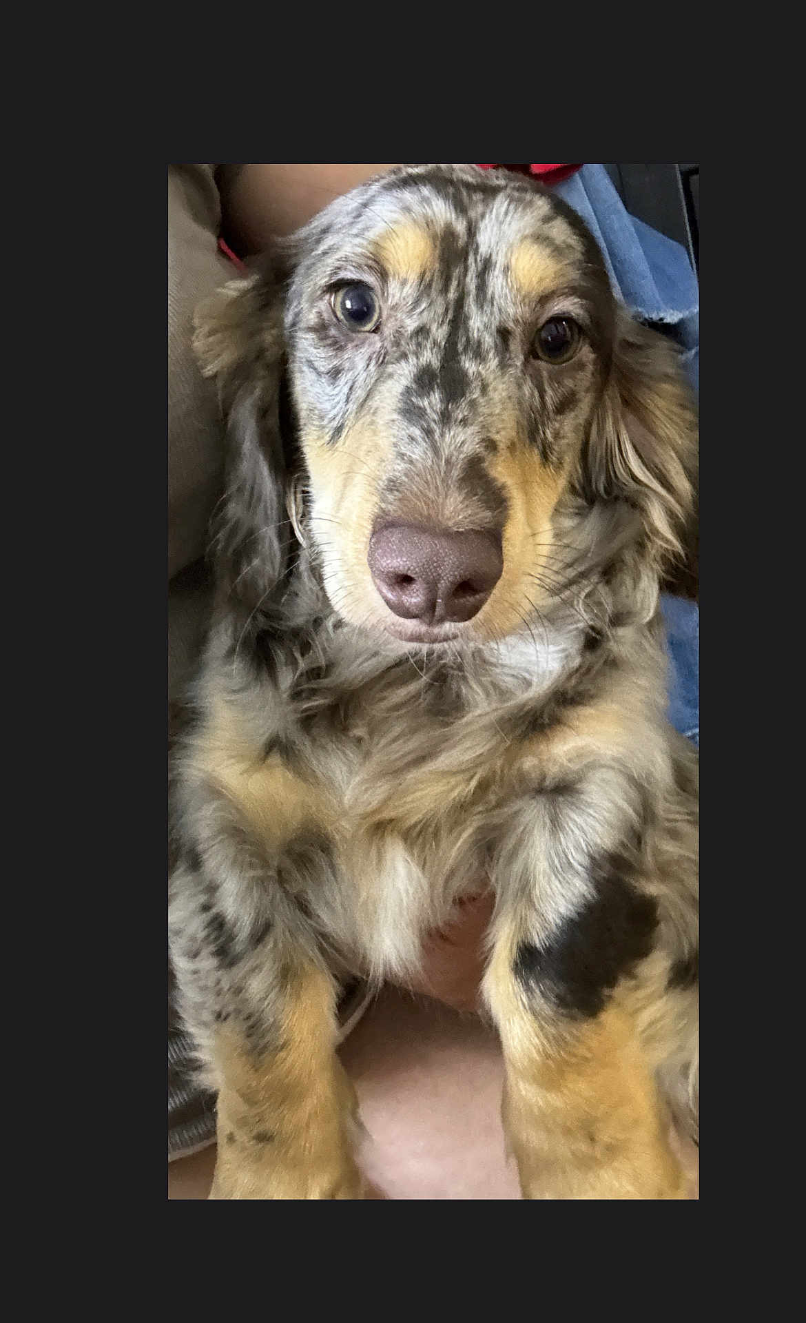 Fat Potato