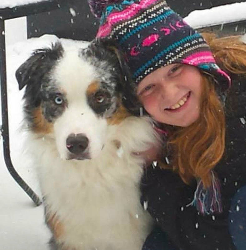 Reece is registered to the contest to win money with this photo: australian_collie, australian_shepherd, border_collie, canidae, carnivore, companion_dog, dog, dog_breed, english_shepherd, fun, mammal, miniature_australian_shepherd, nose, puppy_love, rare_breed_dog, selfie, snout, snow, sporting_group, working_dog