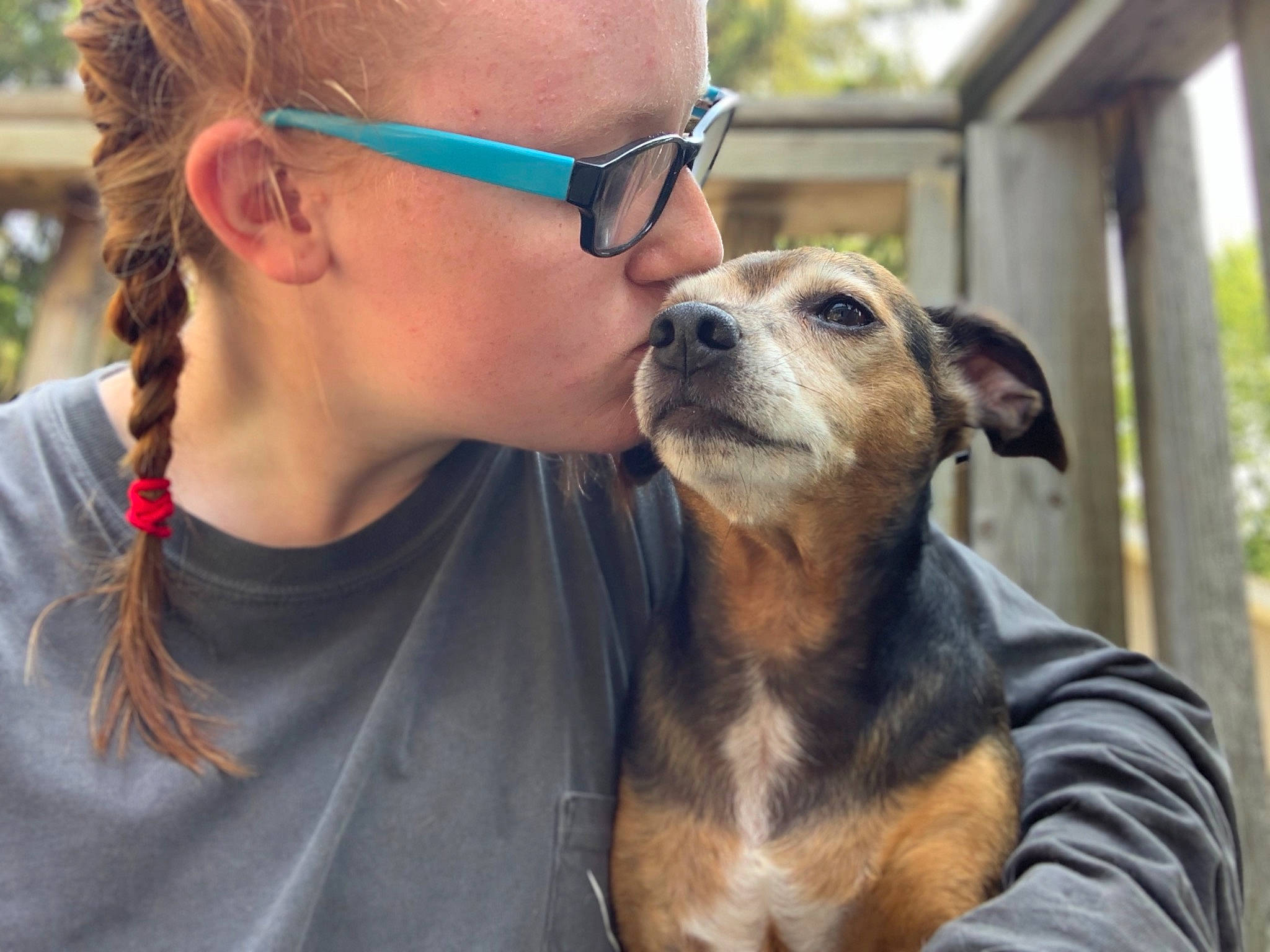 Tucker joined the competition — help win amazing prizes! canidae, carnivore, companion_dog, dog, dog_breed, eyewear, fawn, glasses, mammal, puppy_love, snout, sunglasses, vertebrate