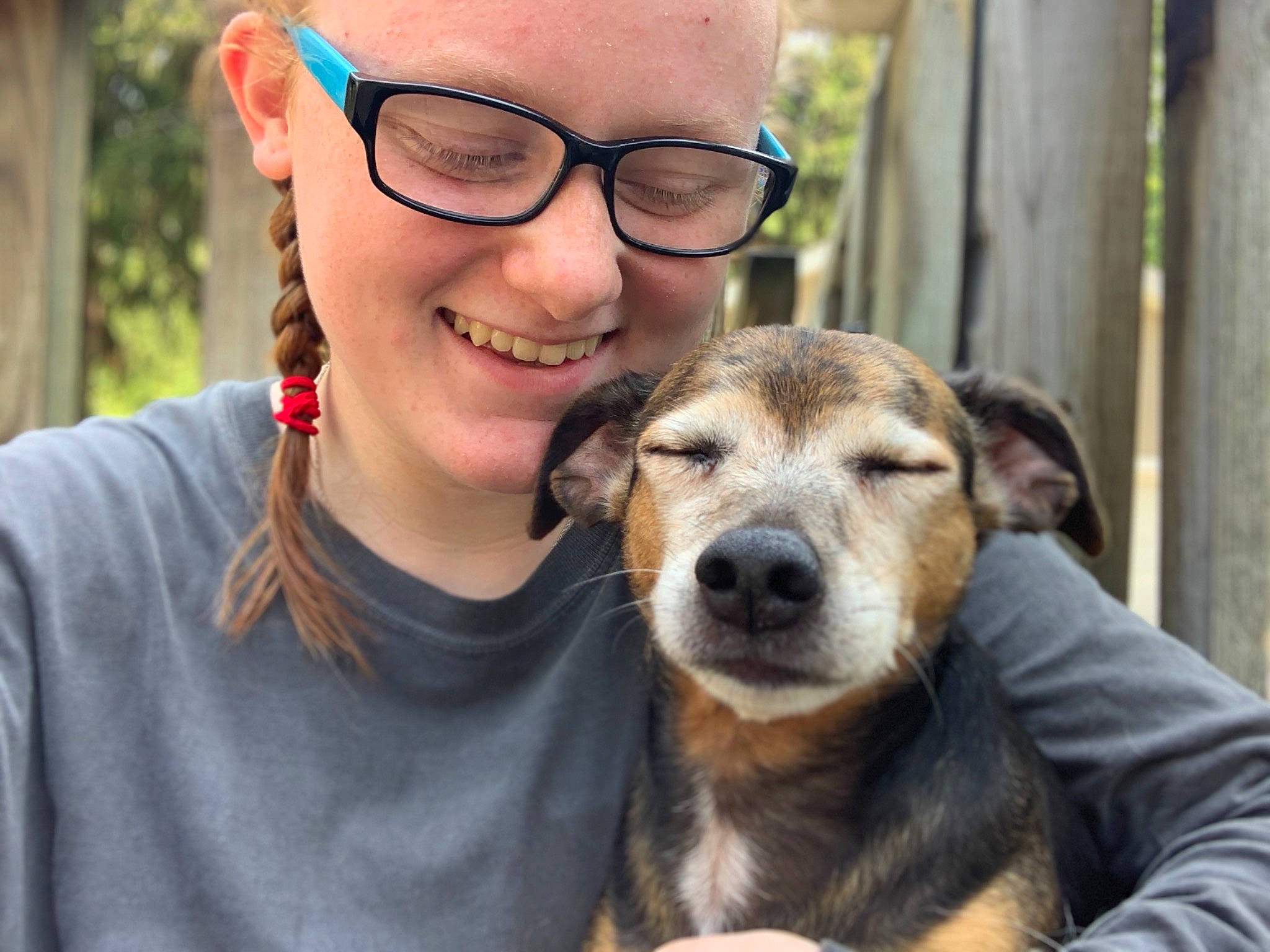 Tucker is registered to the contest to win money with this photo: canidae, carnivore, companion_dog, cool, dog, dog_breed, fawn, glasses, mammal, potcake_dog, puppy_love, selfie, skin, smile, snout, street_dog, vertebrate