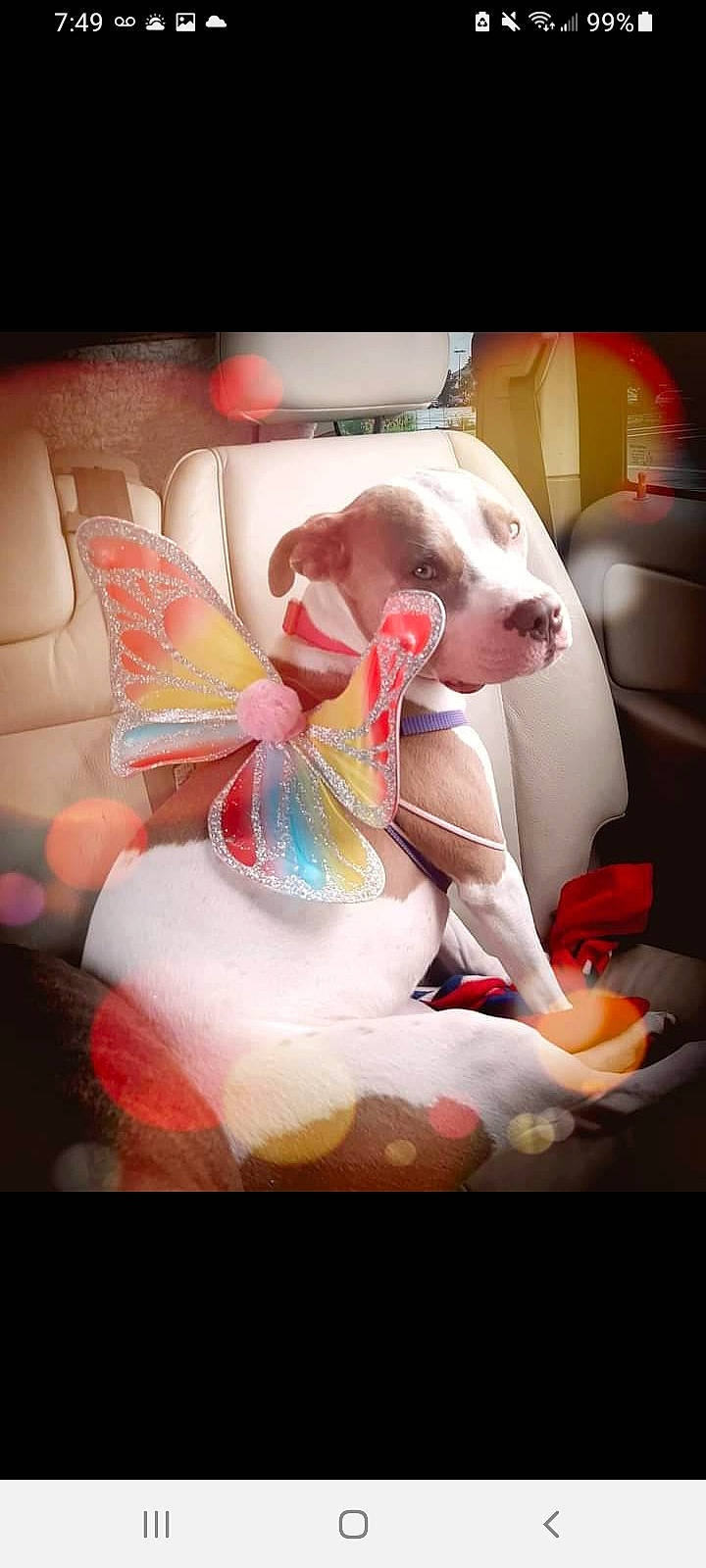 Diya joined the competition — help win amazing prizes! art, carmine, cg_artwork, chest, costume, darkness, entertainment, eyelash, fashion_accessory, fashion_design, fictional_character, flash_photography, flesh, magenta, necklace, performing_arts, room, toy, visual_arts, wing