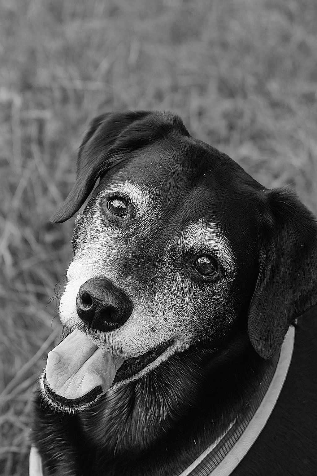 Junior