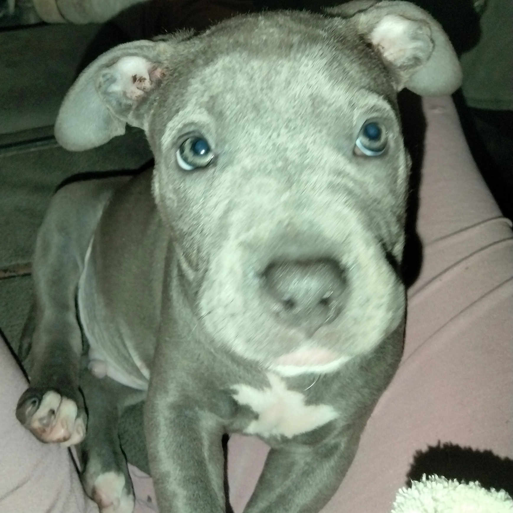 Jax
